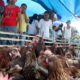 Mengapa Brazil bisa Ekspor ayam ke Indonesia ? Ini rahasianya - PORTAL ...